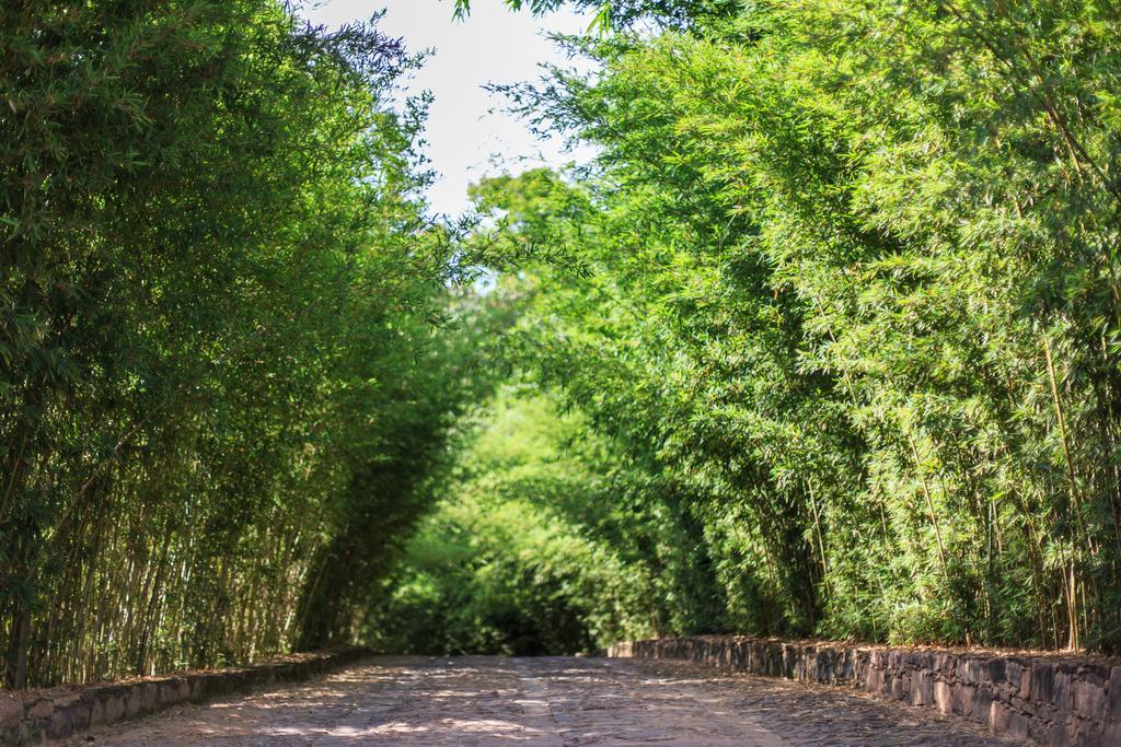 לנסויס Pousada Bosque Do Lapao מראה חיצוני תמונה